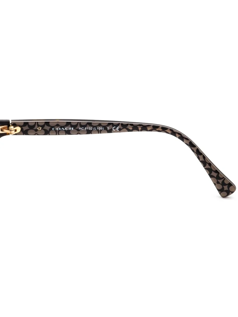 Coach HC 8132 (L109) 529113 Eyewear